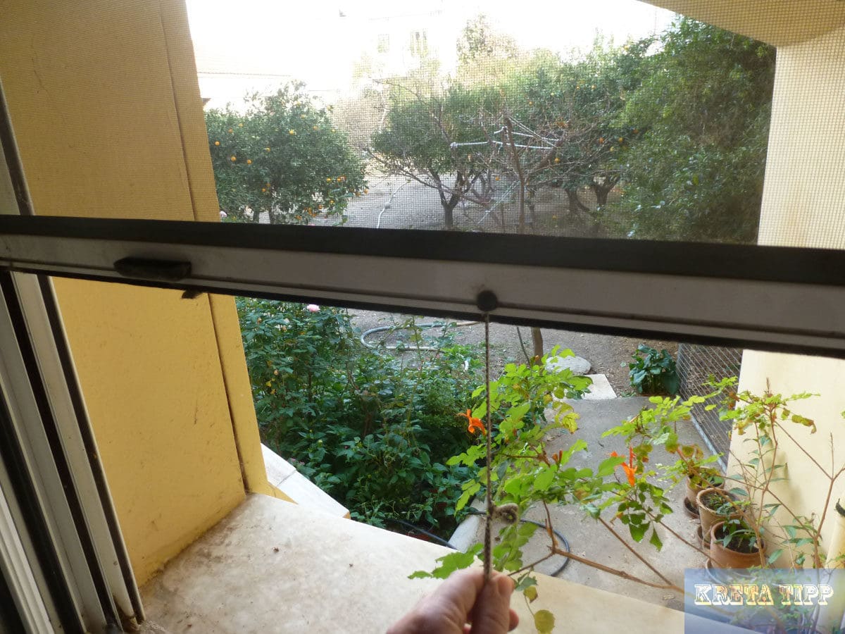 Moskito-Gitter an den Fenstern