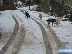 Schnee auf Kreta 2017