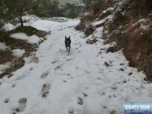Schnee auf Kreta 2017