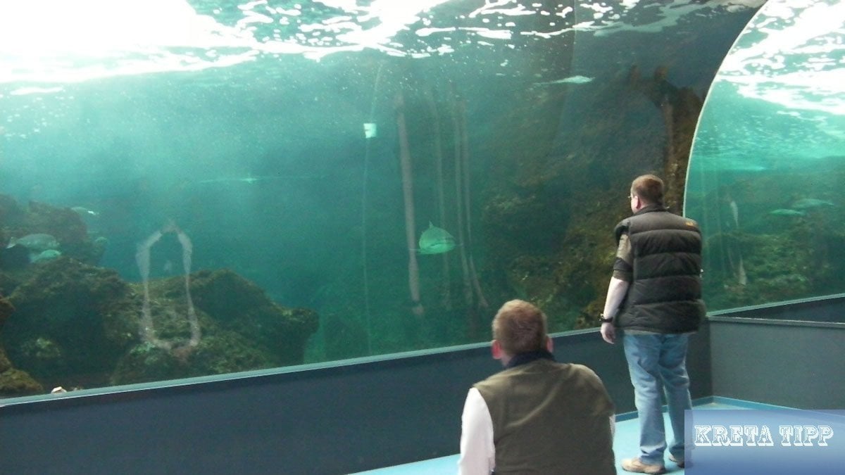 Crete Aquarium