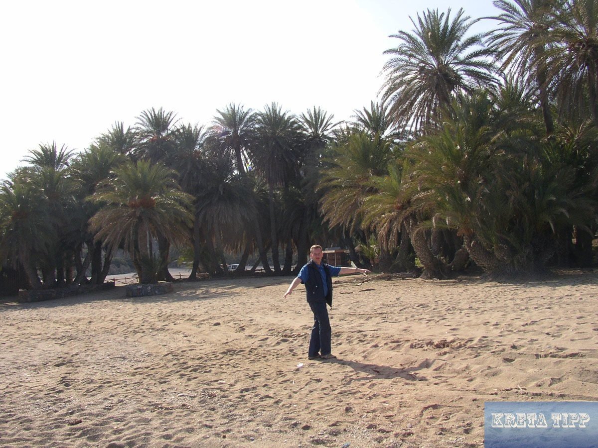 Der Mitte-Winter-Sommer auf Kreta 30 Strand von Vai