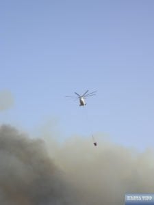 Brände auf Kreta 8 Brände in Elounda