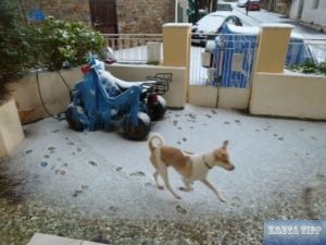 Schnee auf Kreta 2019