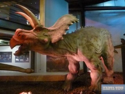 Natural History Museum Dino