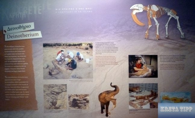 Praehistorisches Mammut 1