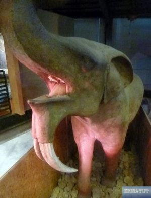 Praehistorisches Mammut