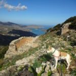 Ruinen von Naxos