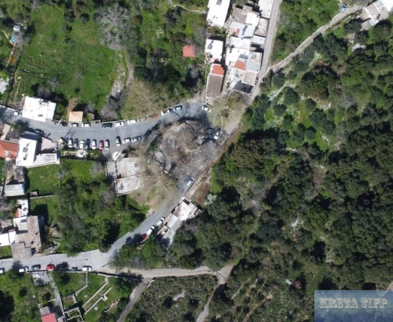 Malia 24 Platane von Krasi von oben