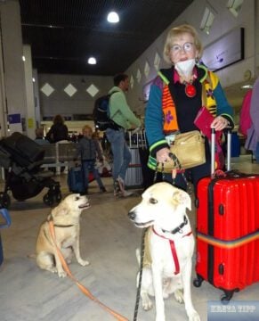 Hunde Check-in Flughafen