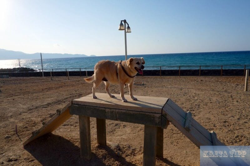 Hundespiel- und Trainingsplatz