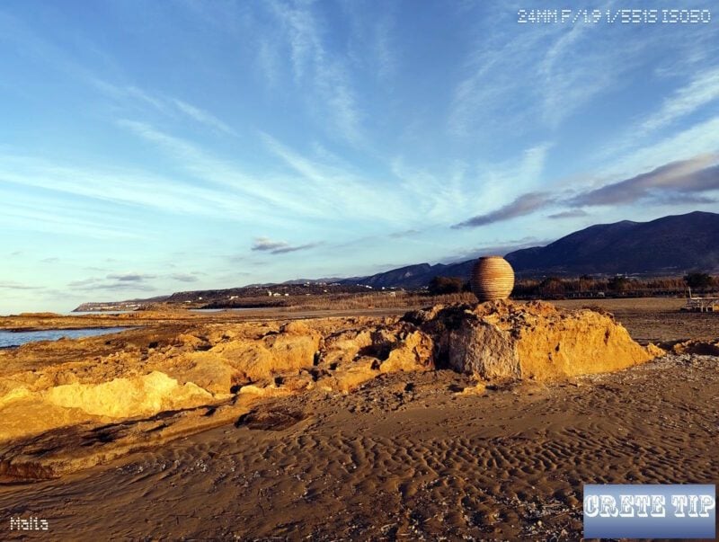 Malia 18 IMG 20251219 162142399 logo