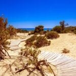 Insel Chrysi: Wie eine winzige griechische Insel zur „Purpur-Gold-Fabrik“ der Antike wurde 2 Chrysi Island