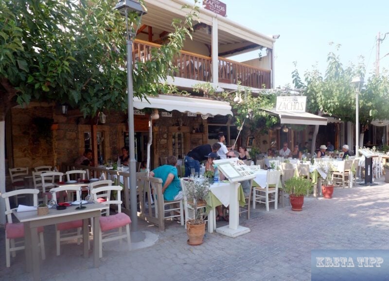 zachos taverna 1