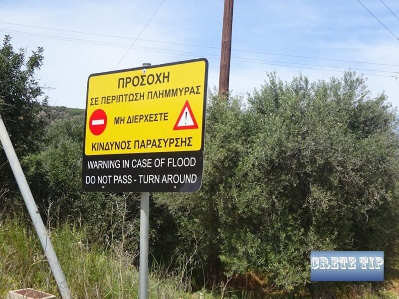 561094033 1331316605450260 8252821329310354148 n