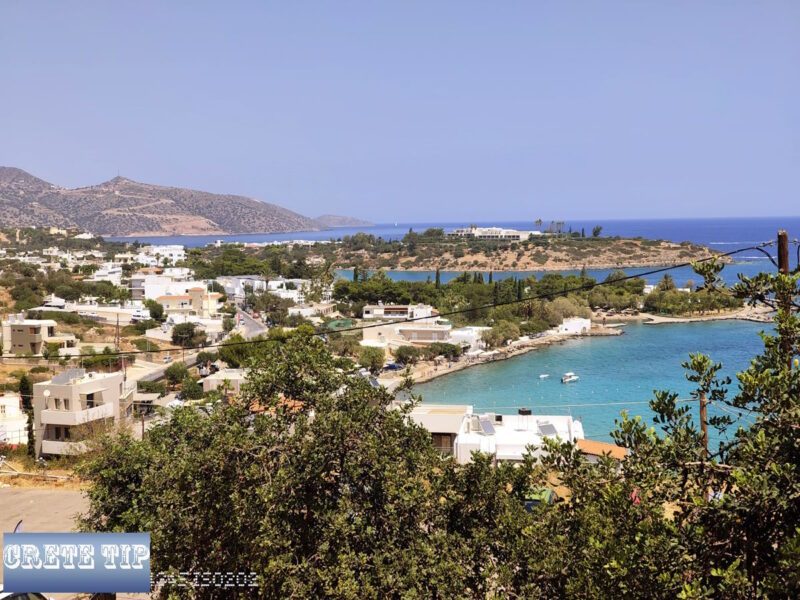 IMG 20250814 132118683 logo