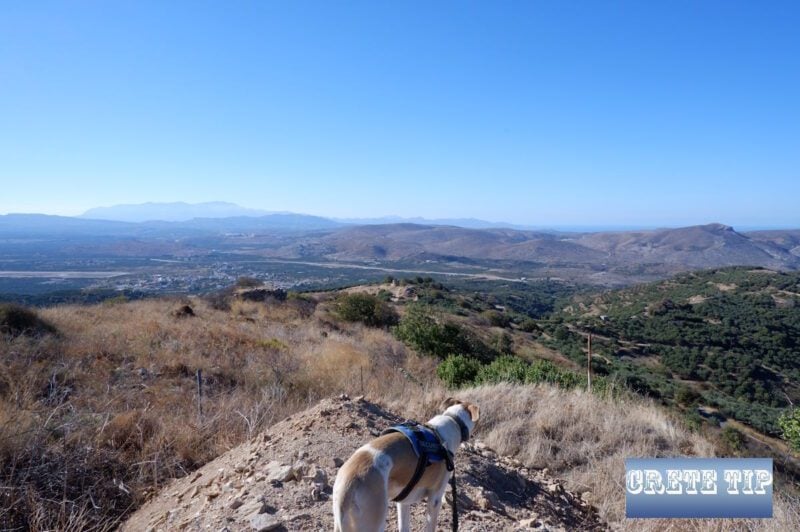 Kastelli und Umgebung 11 Lyttos 1