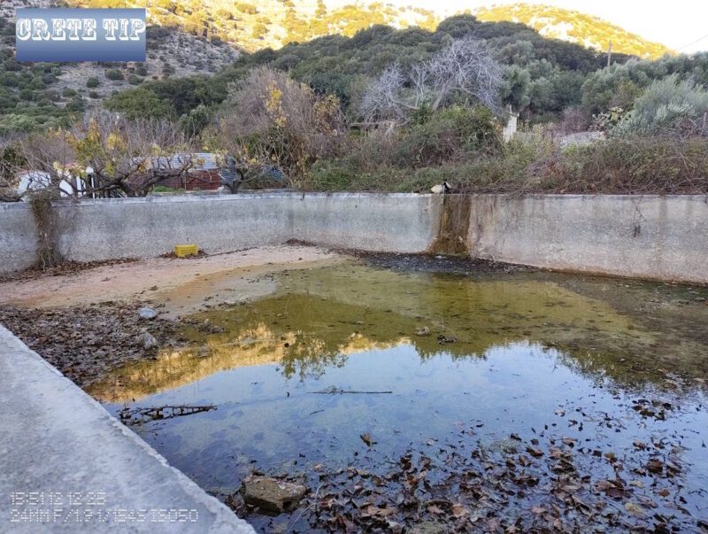 IMG 20251212 155129548 logo