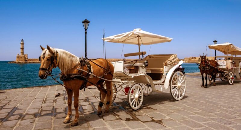 Neue Vorschriften zum Schutz von Pferden, die in touristischen Gebieten Kutschen ziehen 26 chania pferdekutsche