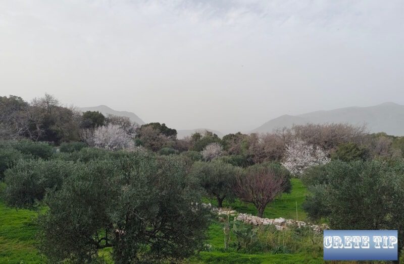 Kreta erstickte unter afrikanischem Staub 4 wuestenstaub