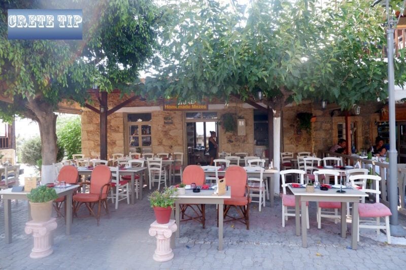 oasis 1